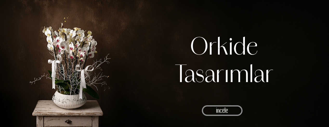 Orkide